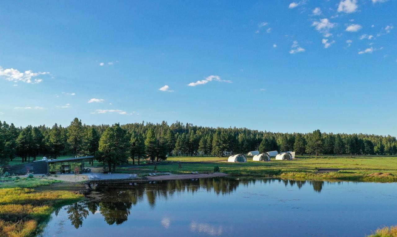 Готель Backland Вільямс Екстер'єр фото